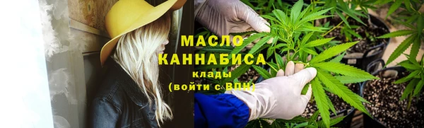дмт Нягань