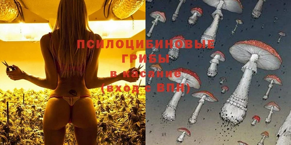 синтетический гашиш Новозыбков