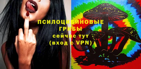 мдпв Нязепетровск