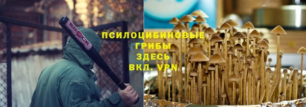 mdpv Новокубанск