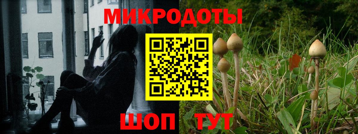 Переславль-Залесский  Галлюциногенные грибы MAGIC MUSHROOMS  Вход с VPN 
