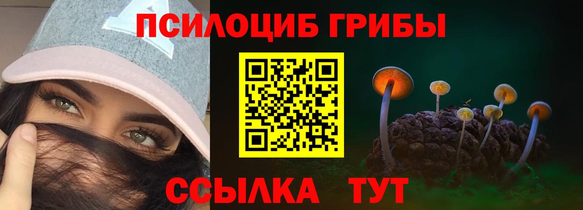 Псилоцибиновые грибы Cubensis Переславль-Залесский