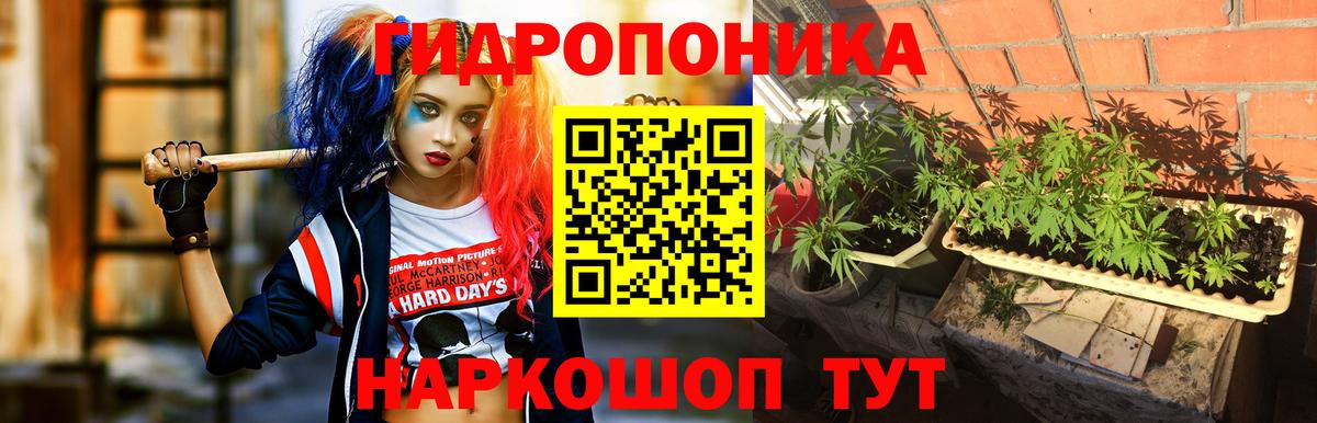 Бошки Шишки конопля Переславль-Залесский